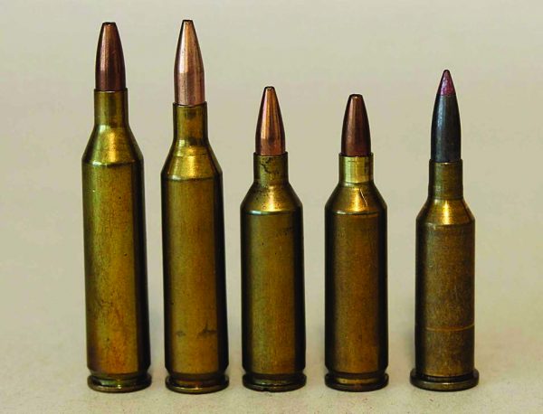 Holy Grails and 17 calibers - TheGunMag - The Official Gun Magazine of ...